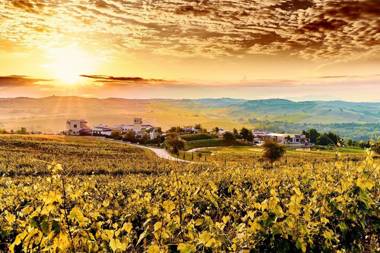 Zornitza Family Estate Relais & Chateaux Melnik  Ngoại thất bức ảnh