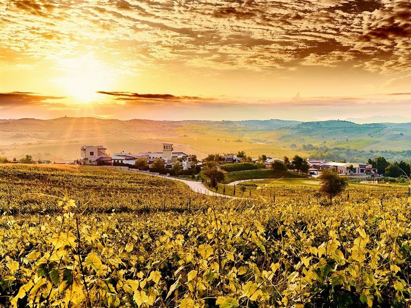 Zornitza Family Estate Relais & Chateaux Melnik  Ngoại thất bức ảnh